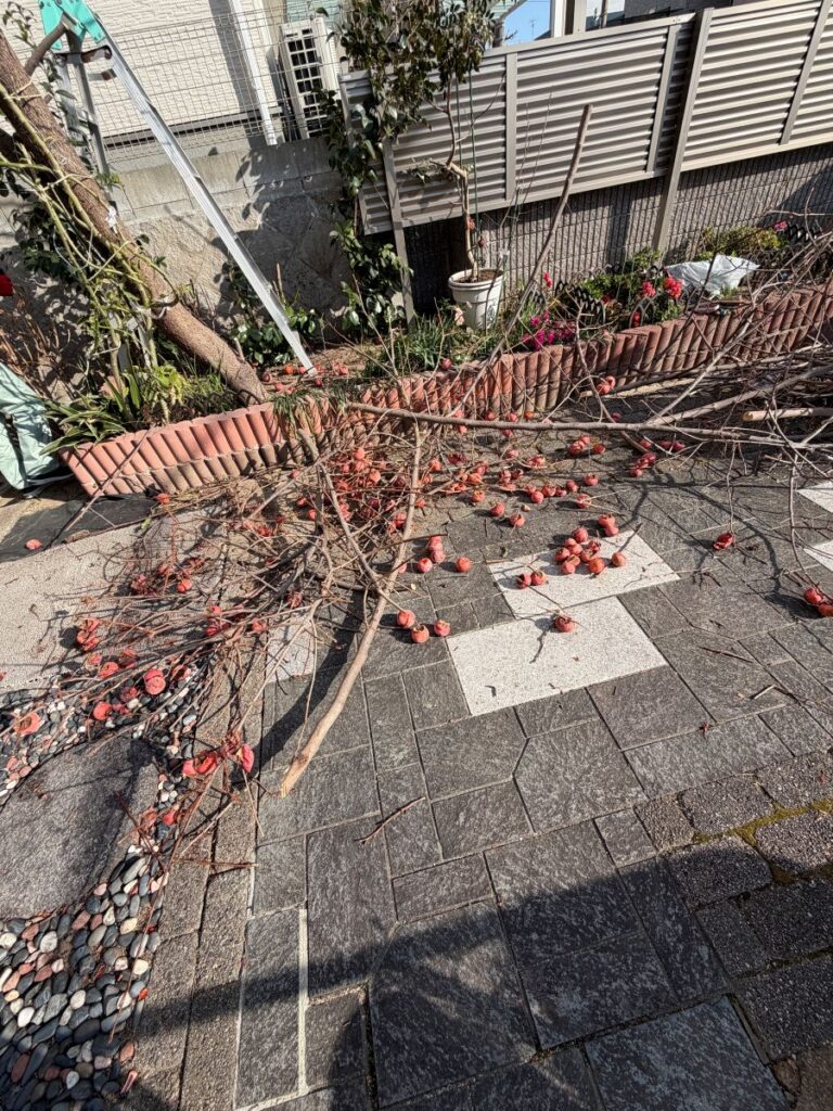 ゆうあいネット　1/26